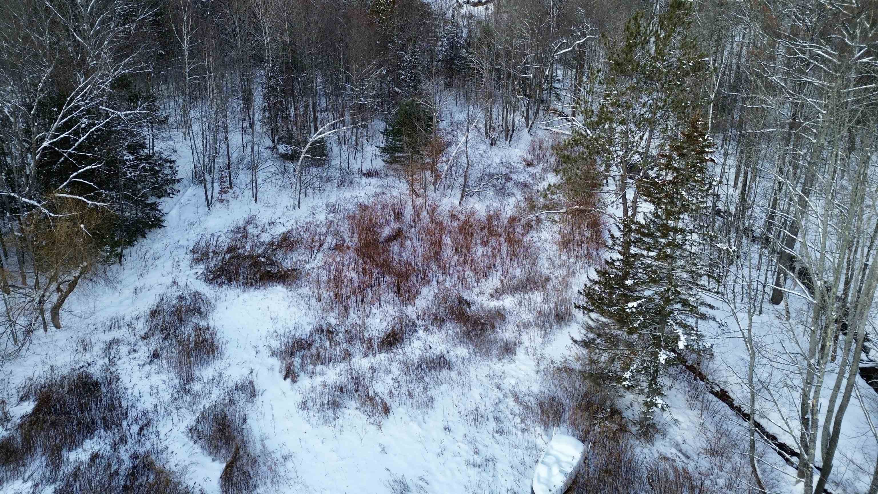 142 Brooks Road Ludlow, VT 05149 - Photo 15 of 21