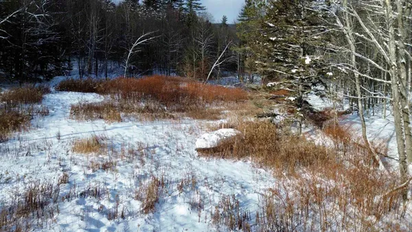 $99,000 | 142 Brooks Road, Ludlow, VT 05149