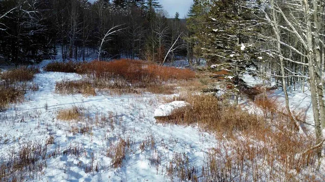 $99,000 | 142 Brooks Road, Ludlow, VT 05149