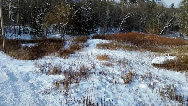 $99,000 | 142 Brooks Road, Ludlow, VT 05149