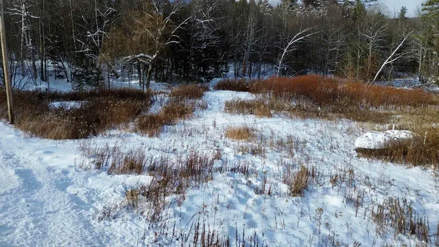 $99,000 | 142 Brooks Road, Ludlow, VT 05149