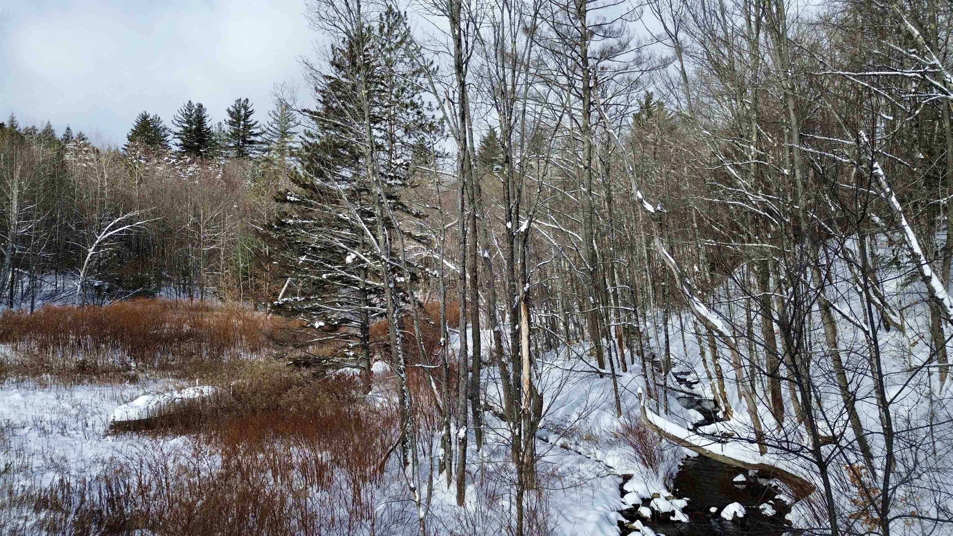 142 Brooks Road Ludlow, VT 05149 - Photo 4 of 21