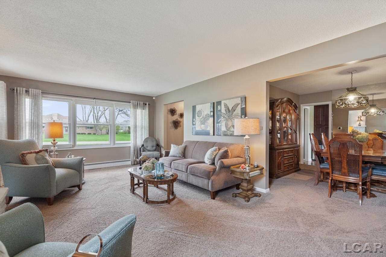 1311 Trenton Road Adrian, MI 49221 - Photo 4 of 47 50073104-3.JPG