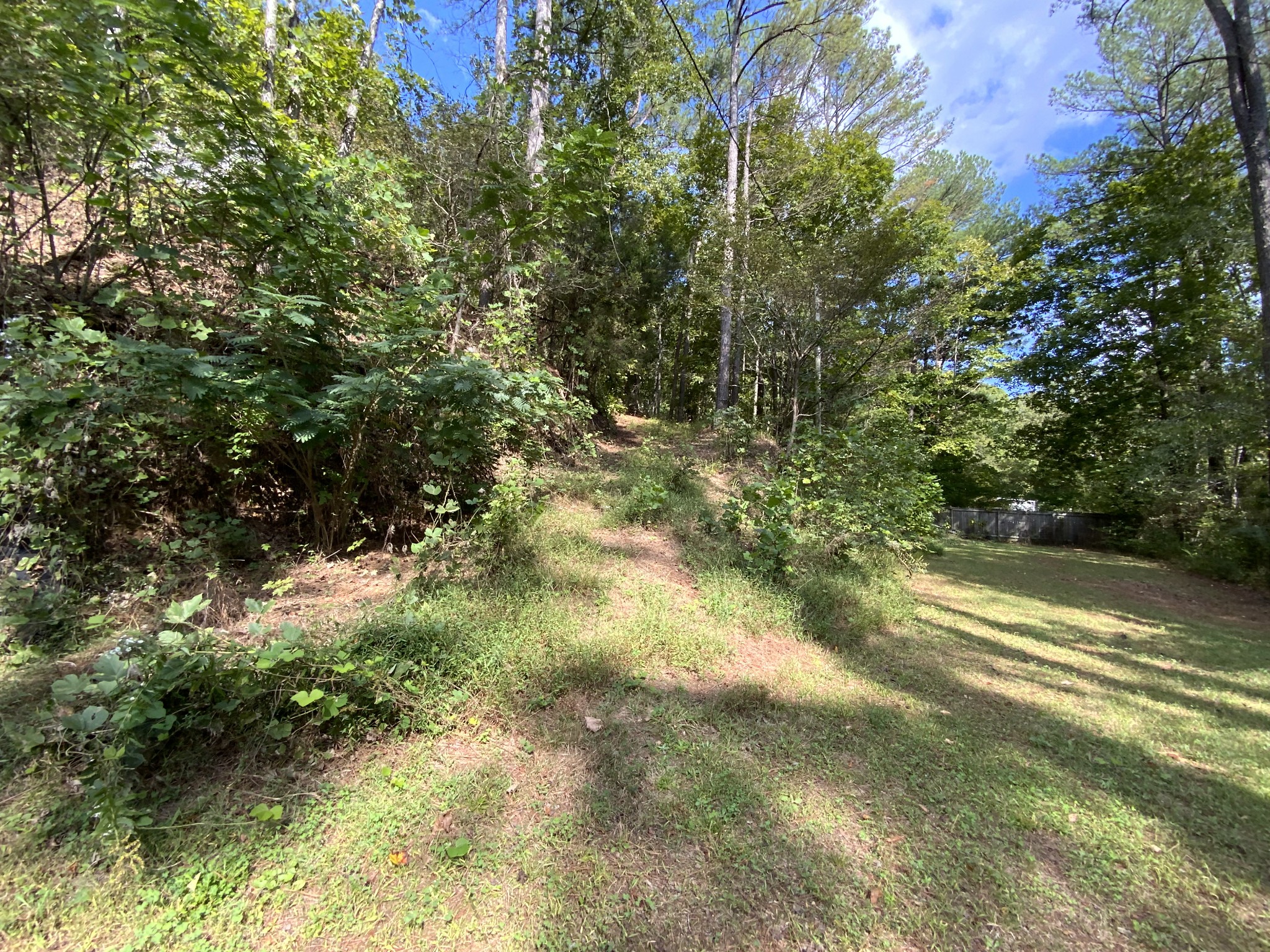 922 Rockhouse Road Hohenwald, TN 38462 - Photo 15 of 25 Gallery Image 15