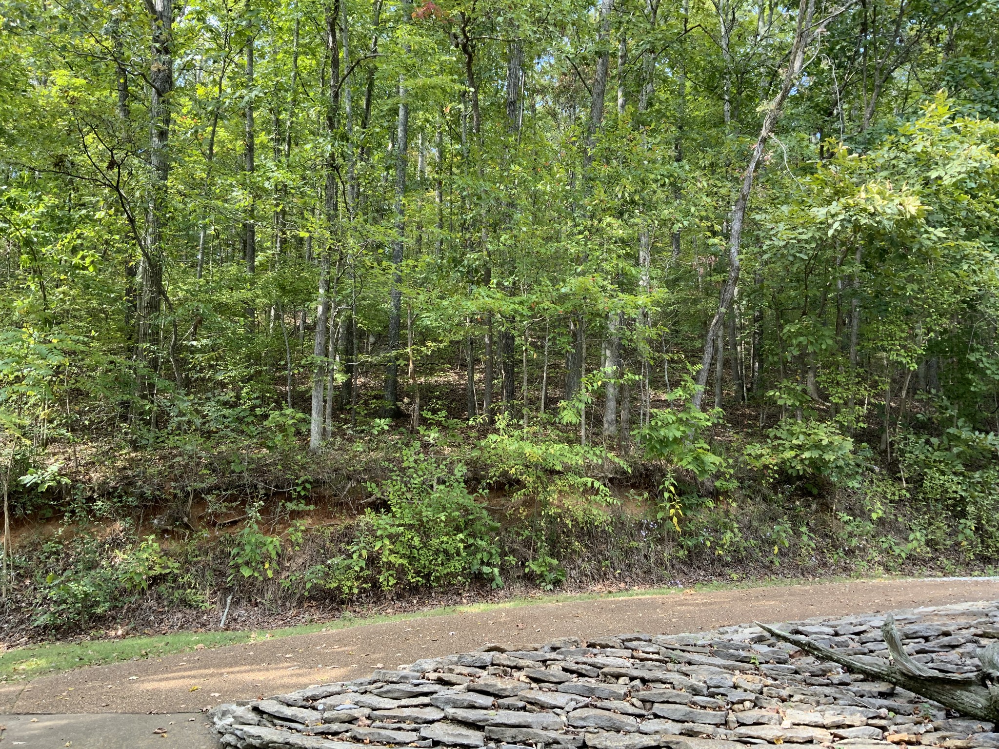 922 Rockhouse Road Hohenwald, TN 38462 - Photo 5 of 25 Gallery Image 5