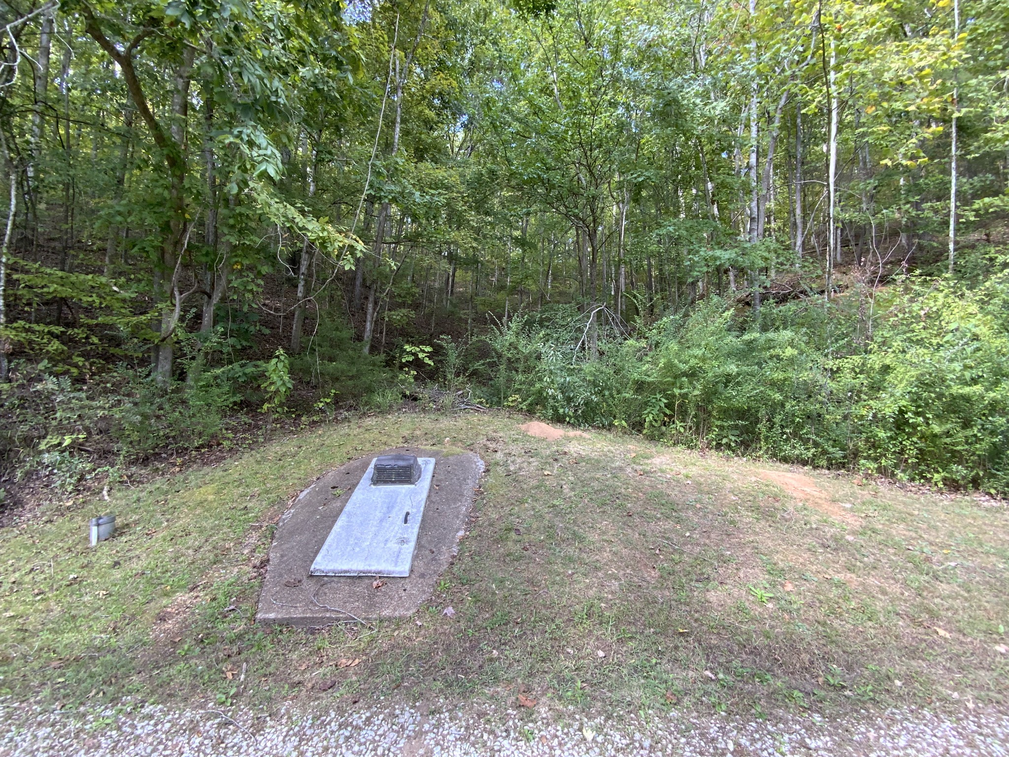 922 Rockhouse Road Hohenwald, TN 38462 - Photo 10 of 25 Gallery Image 10