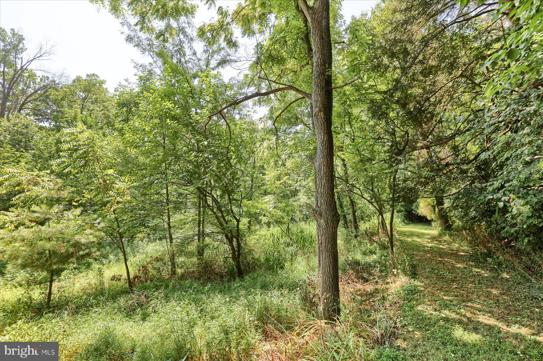 606 Pine Road Palmyra, PA 17078 - Photo 47 of 79