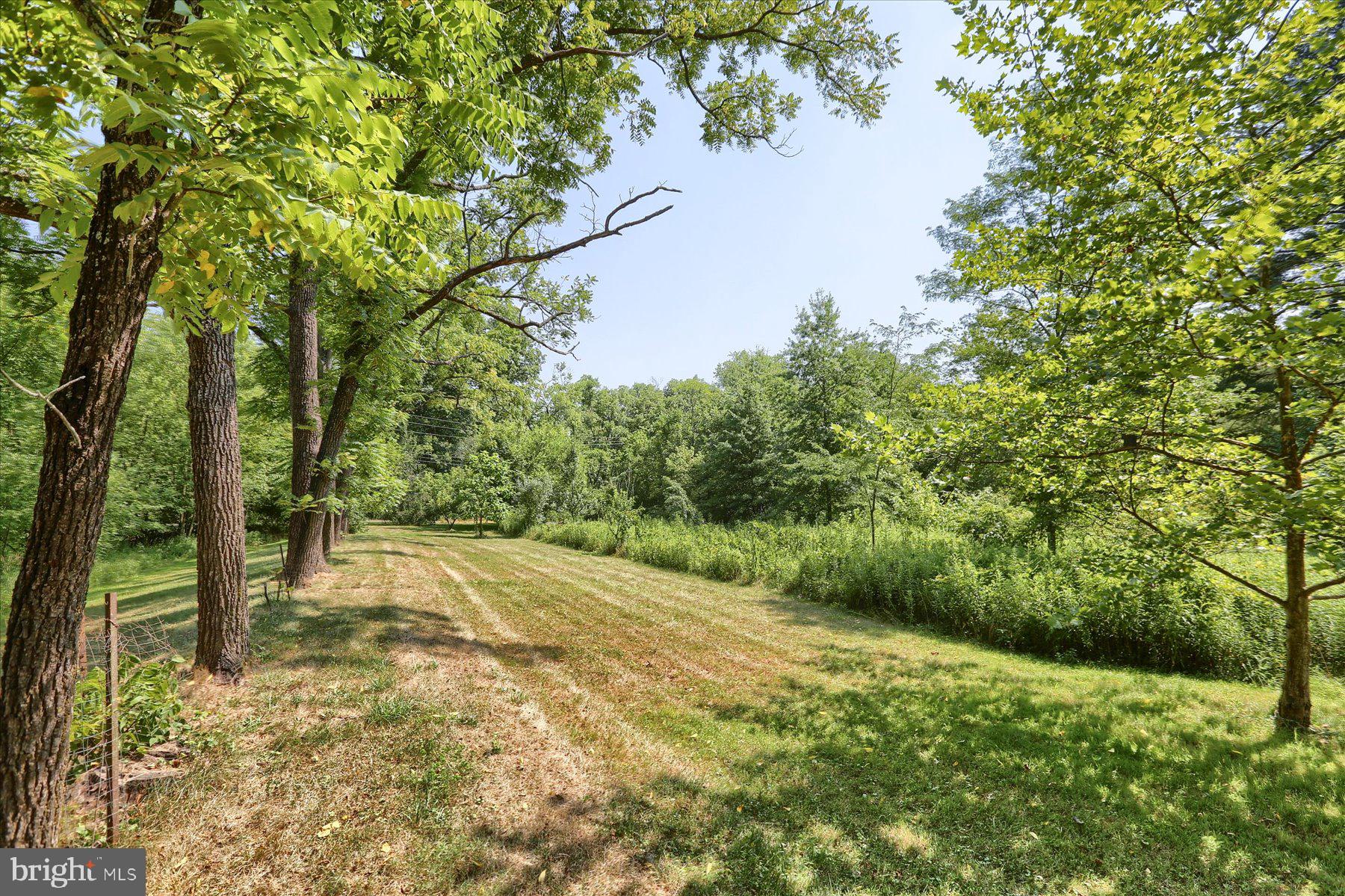 606 Pine Road Palmyra, PA 17078 - Photo 50 of 79