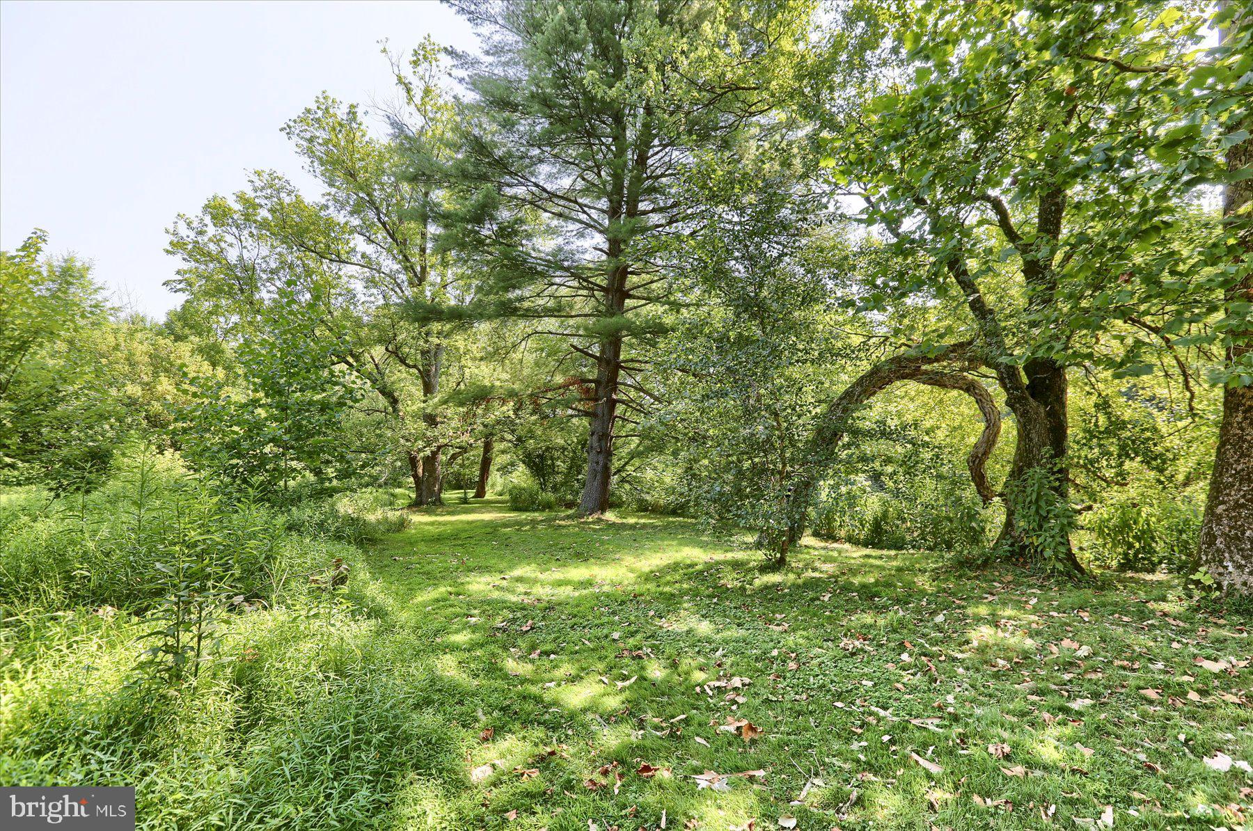 606 Pine Road Palmyra, PA 17078 - Photo 53 of 79