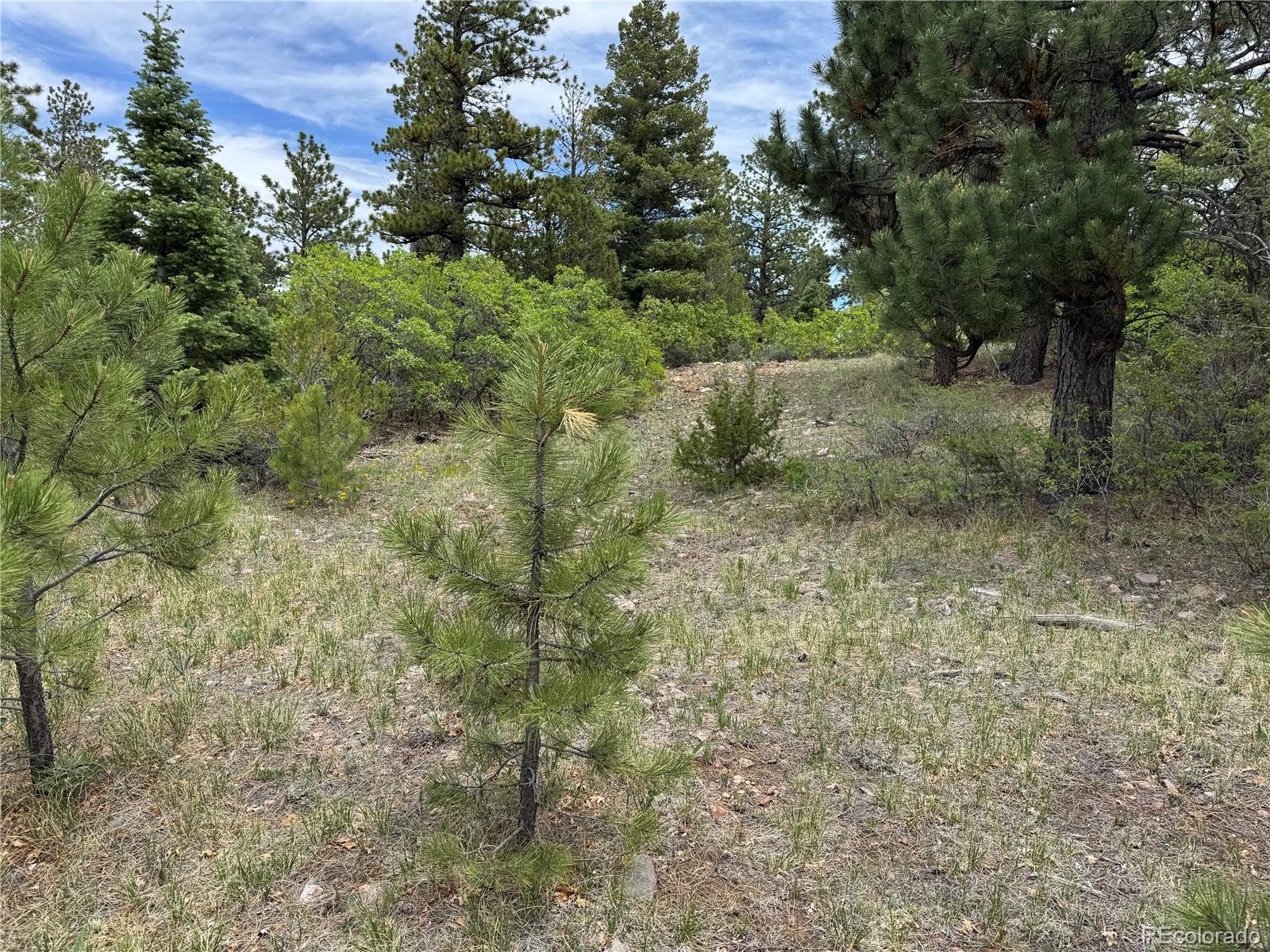 Knotty Pine Road Salida, CO 81201 - Photo 8 of 42 Gallery Image 8