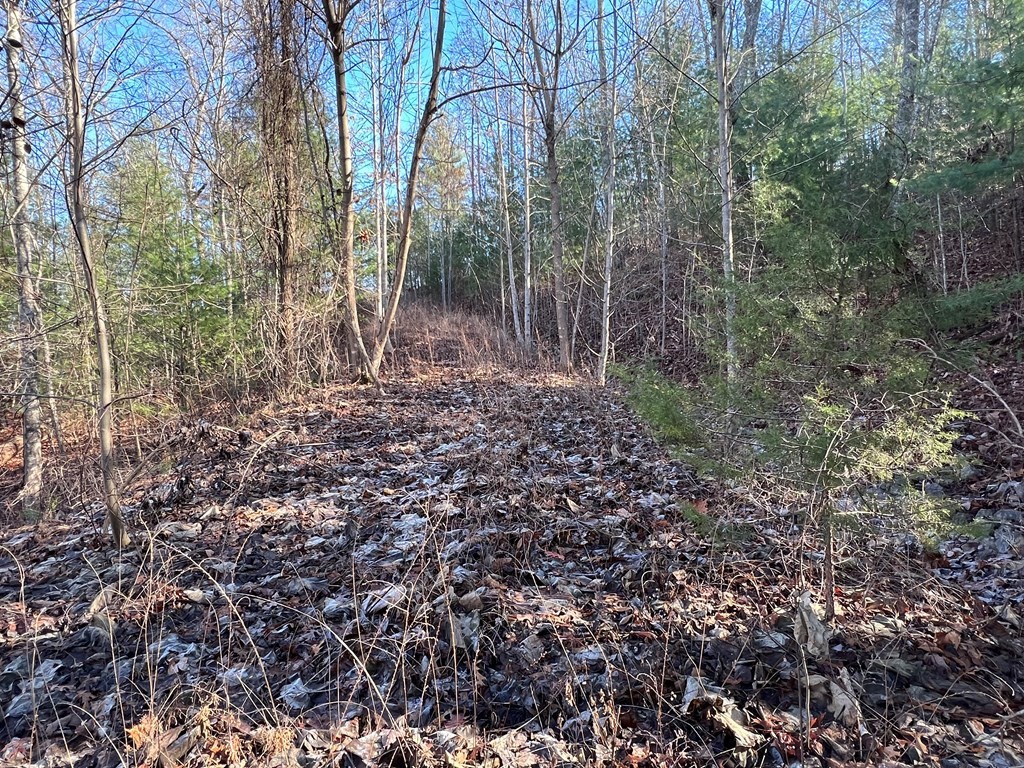 5072 Long Rifle Road Sevierville, TN 37862 - Photo 8 of 17 Gallery Image 8