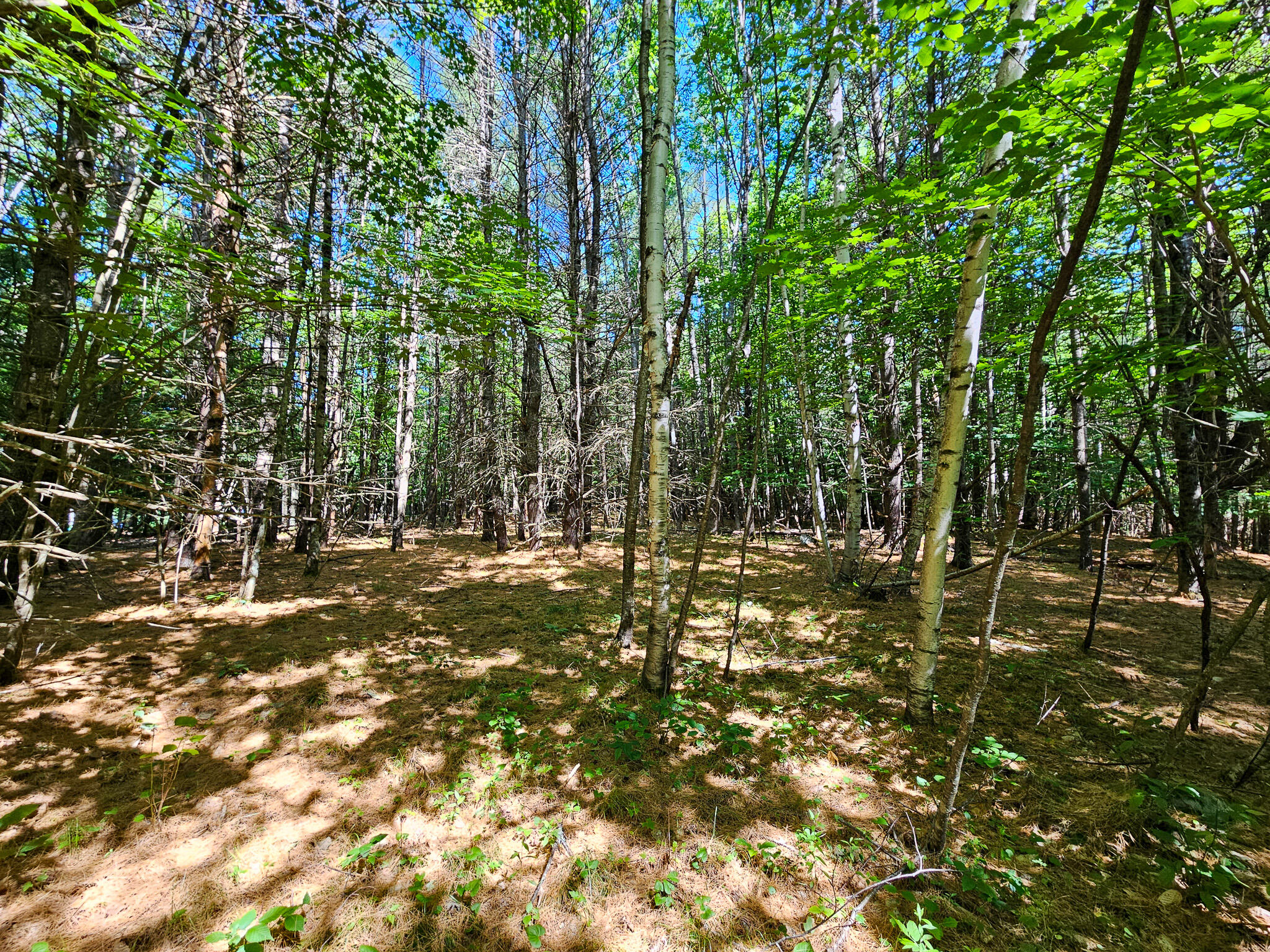 11-31-c Stone Hill Road Farmington, ME 04938 - Photo 10 of 22