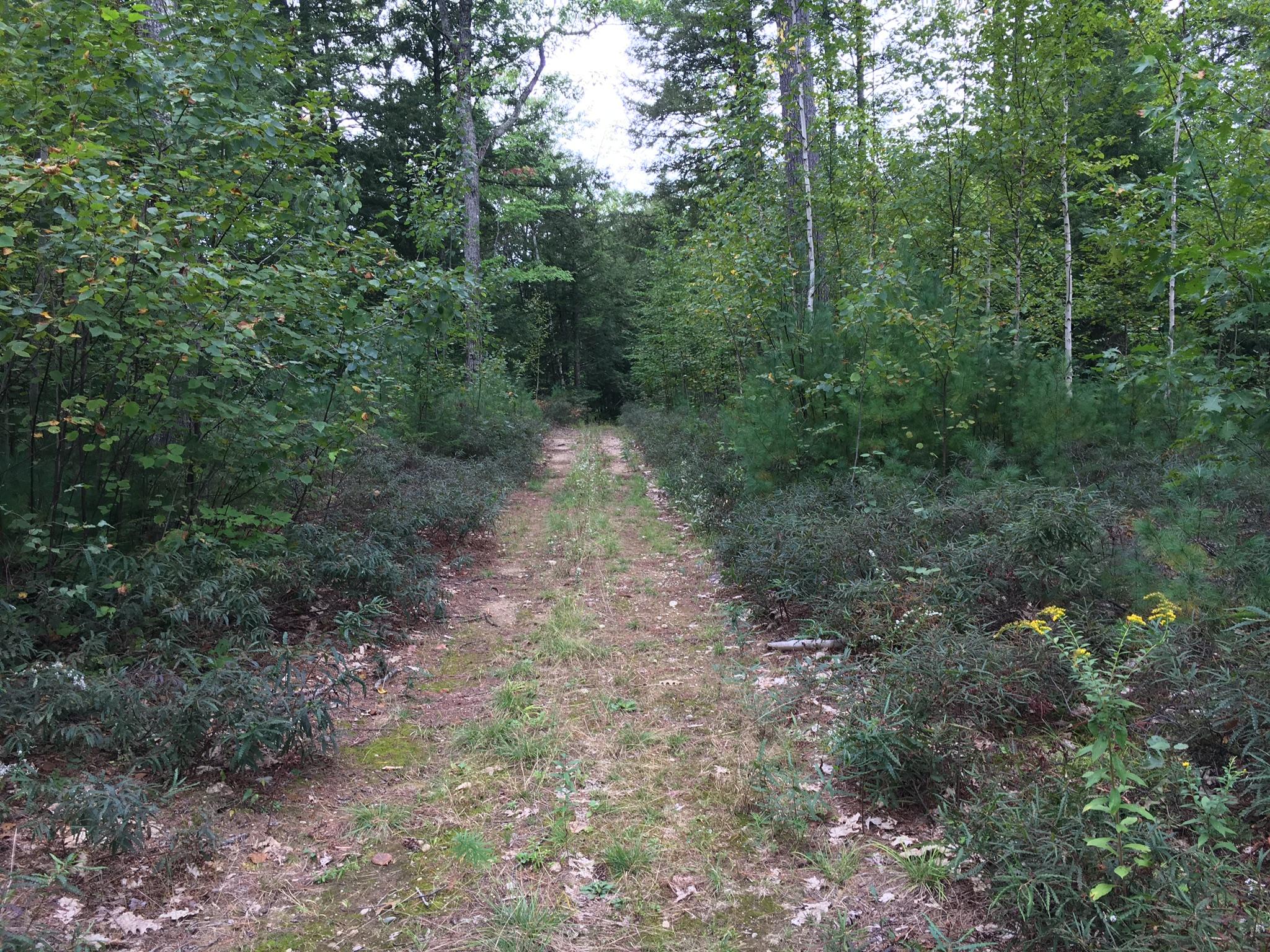 47-acres New Dam Road Limerick, ME 04048 - Photo 22 of 22 095D7B2E-58C3-4BF5-82C0-58028D103070