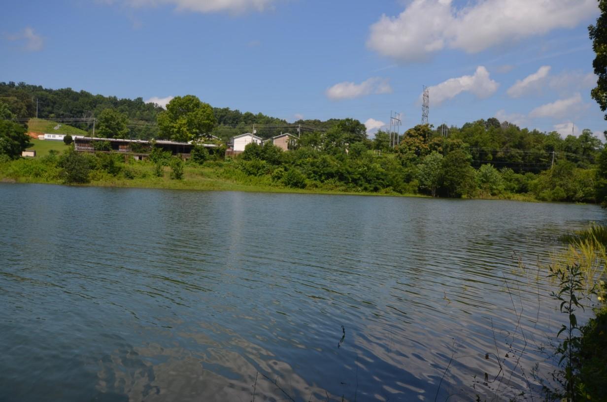304 Ernie Roberts Road Rutledge, TN 37861 - Photo 13 of 15 009a_Lake View