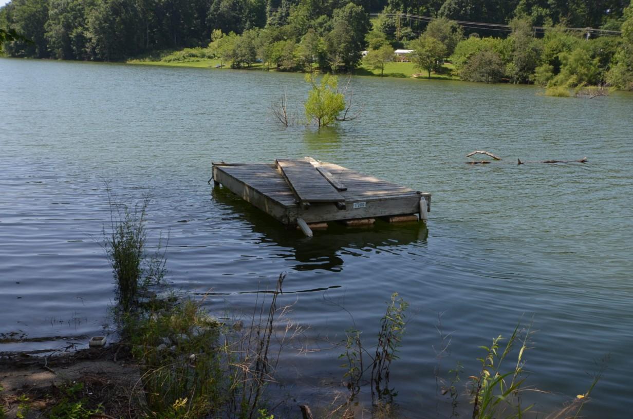 304 Ernie Roberts Road Rutledge, TN 37861 - Photo 15 of 15 009c-Floating Dock