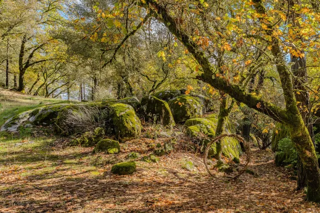 $899,900 | Undisclosed Address, Fiddletown, CA 95629