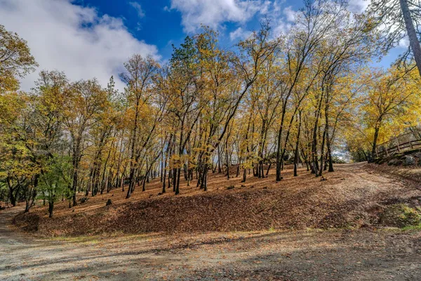 $899,900 | Undisclosed Address, Fiddletown, CA 95629