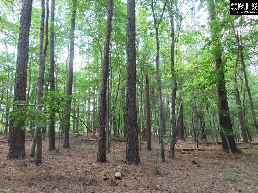 0 Park Road Ridgeway, SC 29130 - Photo 36 of 47