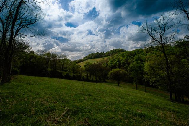 503 Rowland Hollow Road Liberty, TN 37095 - Photo 1 of 20 a view of a garden