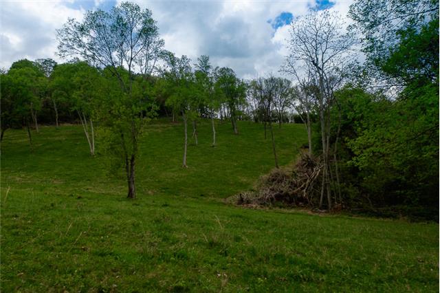 503 Rowland Hollow Road Liberty, TN 37095 - Photo 11 of 20 a view of a park