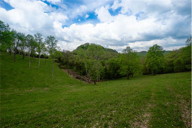 503 Rowland Hollow Road Liberty, TN 37095 - Photo 12 of 20 a view of a big yard with a house in the background