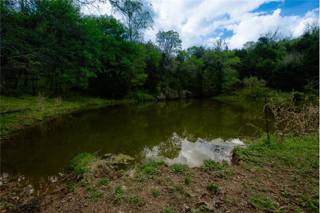 503 Rowland Hollow Road Liberty, TN 37095 - Photo 13 of 20 a lake view