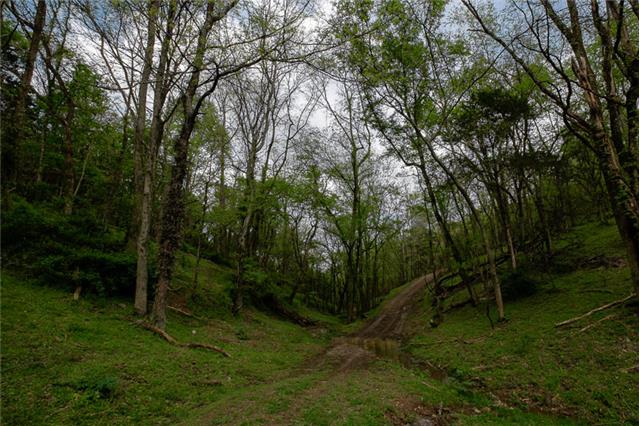 503 Rowland Hollow Road Liberty, TN 37095 - Photo 14 of 20 a view of outdoor space and yard