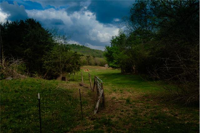 503 Rowland Hollow Road Liberty, TN 37095 - Photo 17 of 20 a view of yard with green space