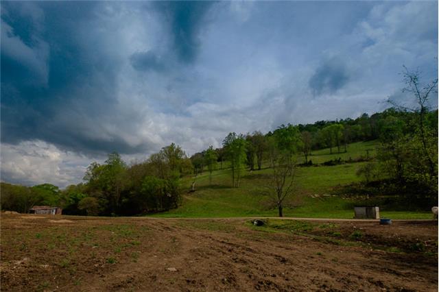 503 Rowland Hollow Road Liberty, TN 37095 - Photo 18 of 20 a view of a field with trees in background