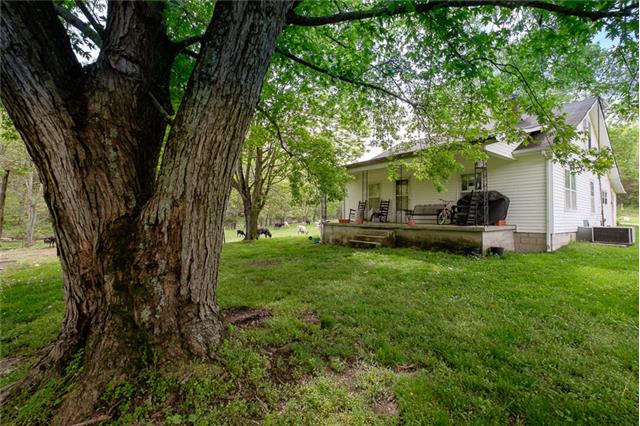 503 Rowland Hollow Road Liberty, TN 37095 - Photo 5 of 20 a view of a house with backyard and a tree