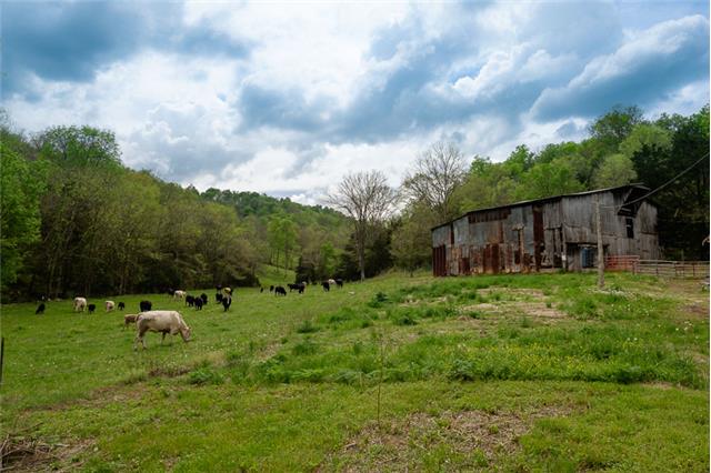 503 Rowland Hollow Road Liberty, TN 37095 - Photo 6 of 20 a backyard of a house with lots of green space