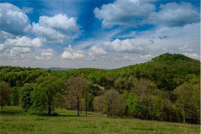503 Rowland Hollow Road Liberty, TN 37095 - Photo 7 of 20 a view of a big yard with plants and large trees