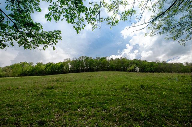 503 Rowland Hollow Road Liberty, TN 37095 - Photo 8 of 20 a view of an outdoor space and a yard