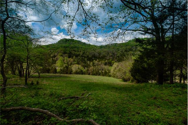 503 Rowland Hollow Road Liberty, TN 37095 - Photo 9 of 20 a view of a lush green space