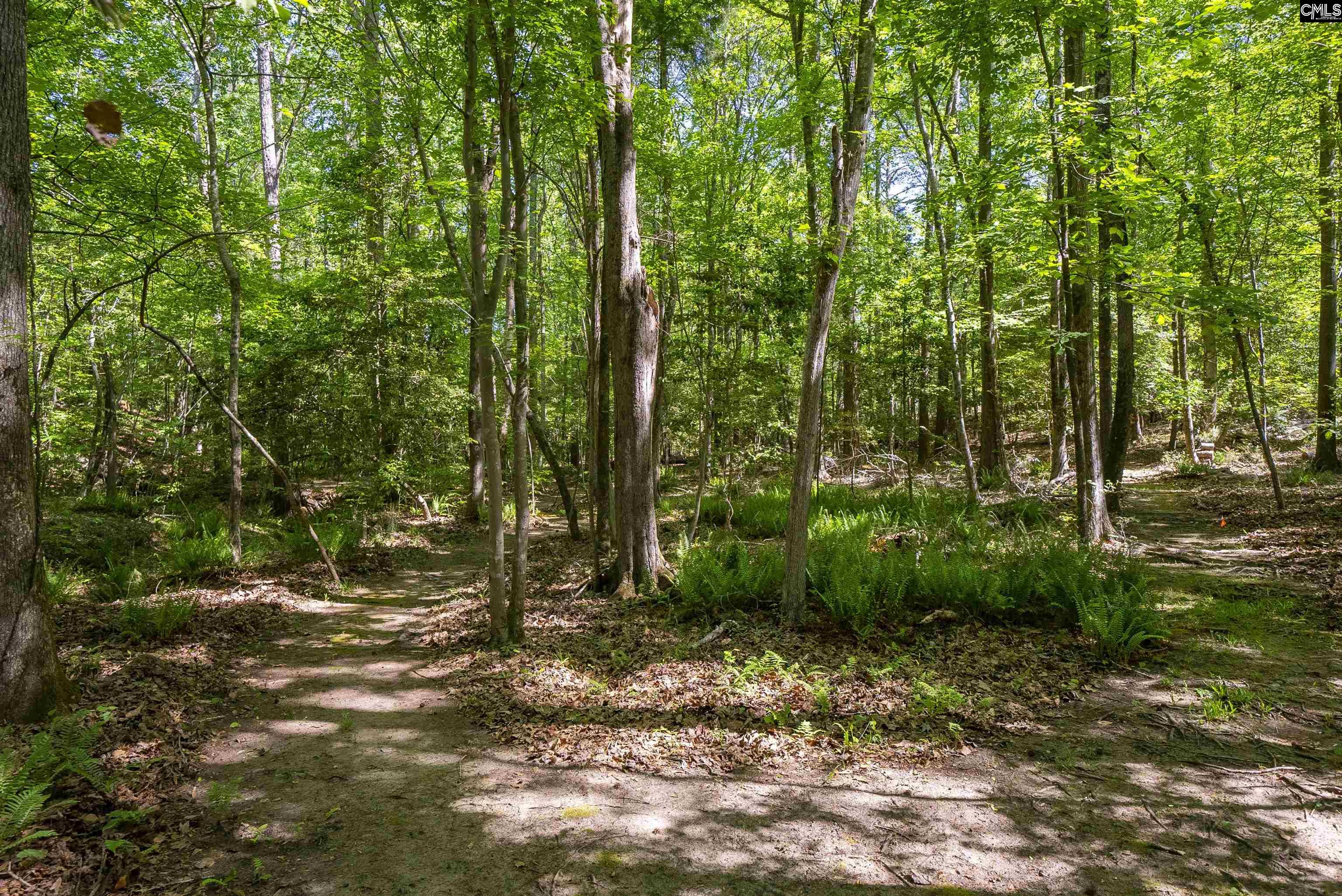 102 Warner Woods Road Lexington, SC 29072 - Photo 34 of 49