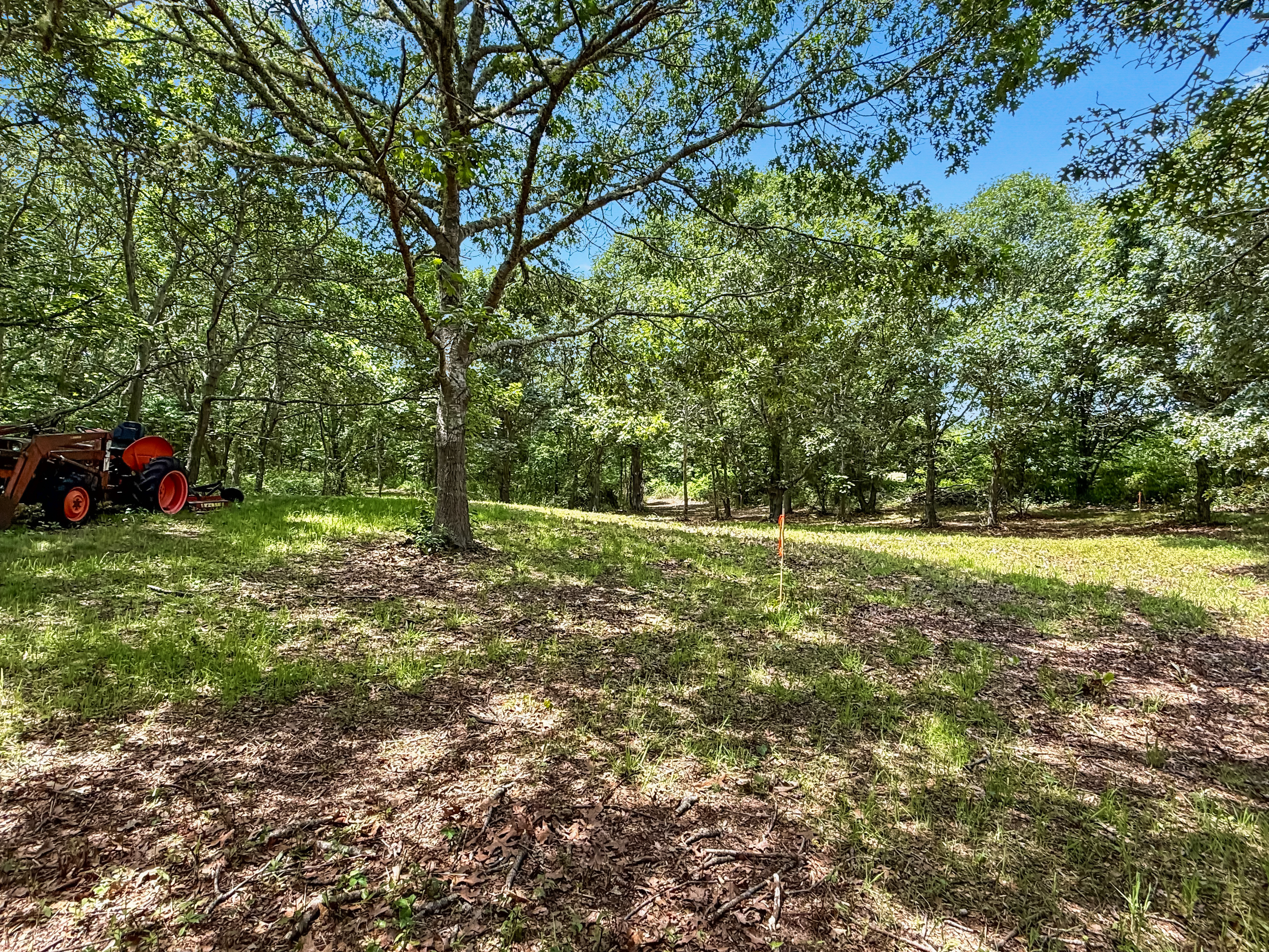 0 Old Field Road Aquinnah, MA 02535 - Photo 5 of 13