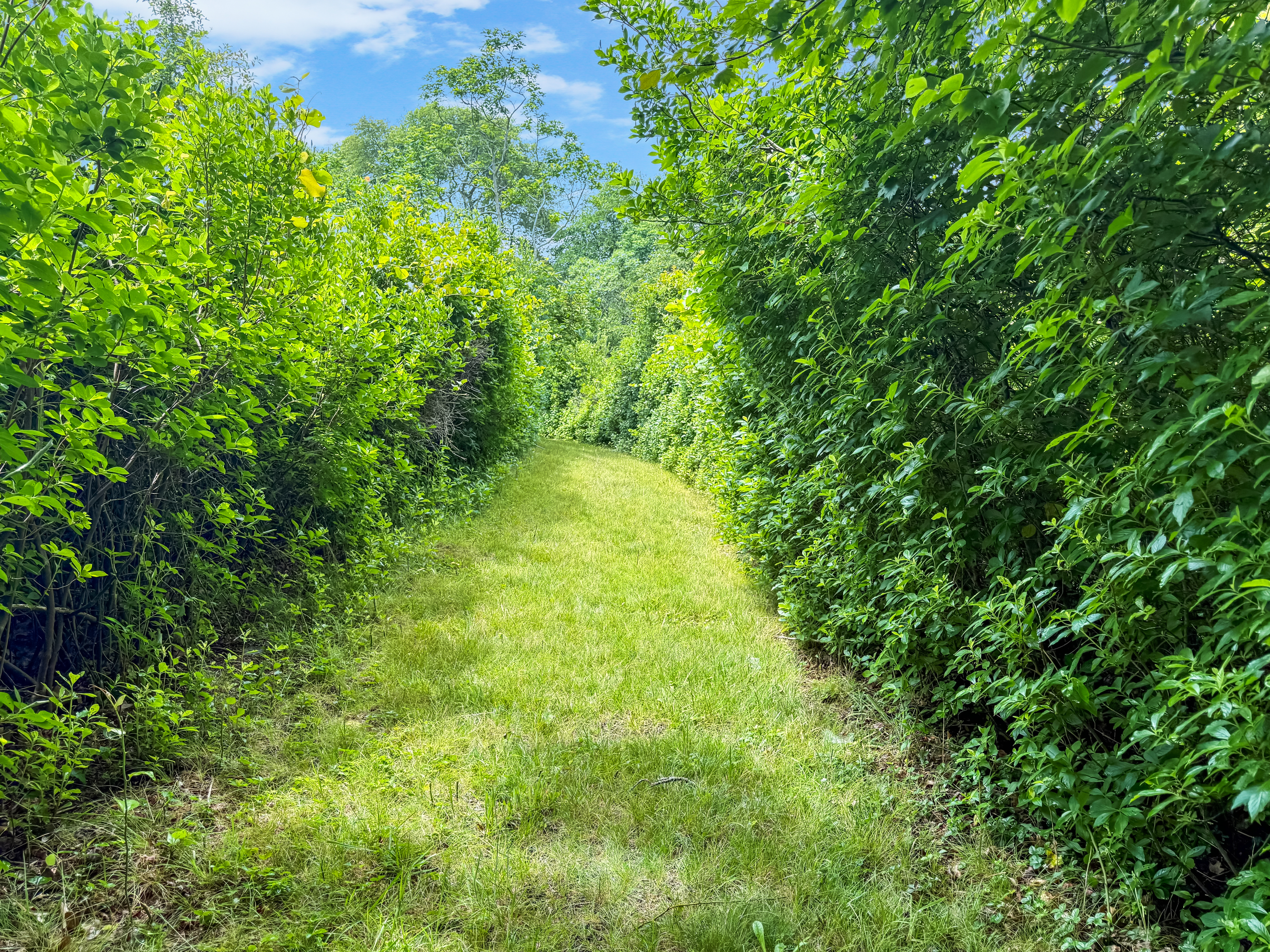 0 Old Field Road Aquinnah, MA 02535 - Photo 9 of 13