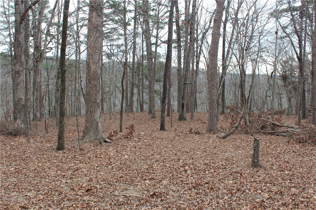0 Old Brewer Road South Edgemont, AR 72044 - Photo 60 of 60 View of local wilderness