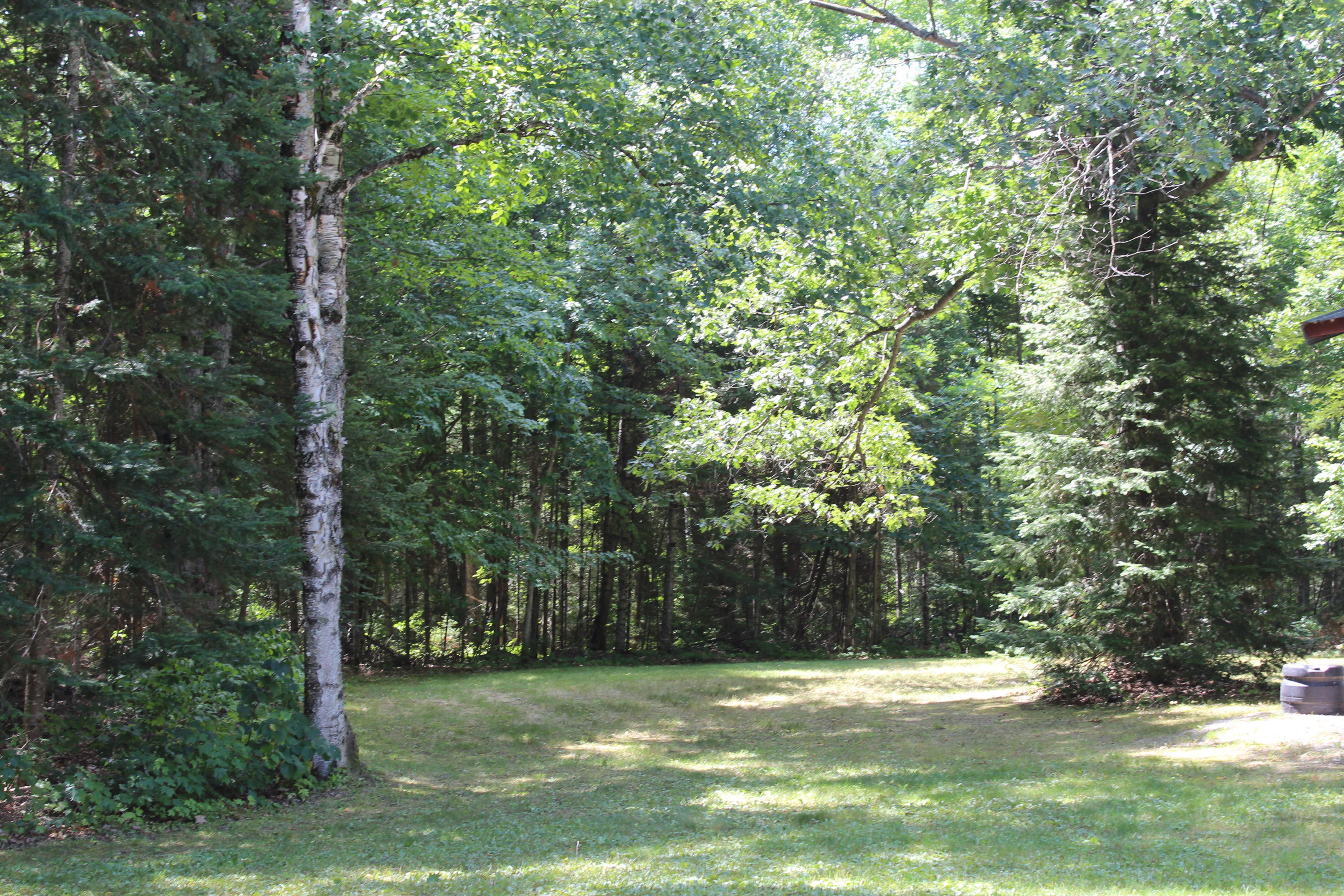 661 West Alexander Road Vanderbilt, MI 49795 - Photo 13 of 28 Gallery Image 13