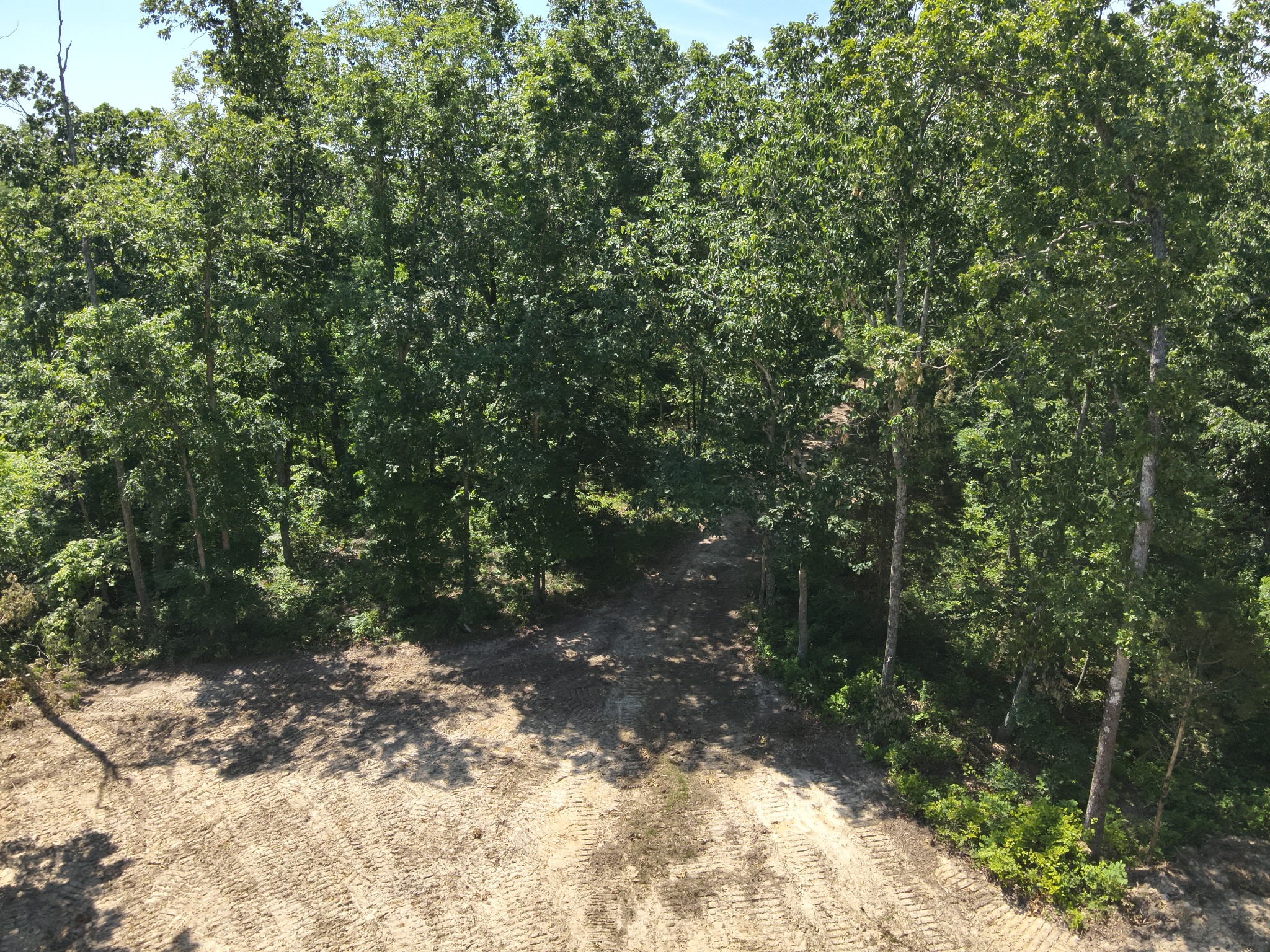 0 Bear Creek Road Waverly, TN 37185 - Photo 15 of 35 a view of a forest with trees in the background