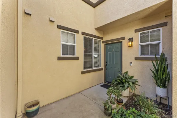 a potted plant sitting in front of a house