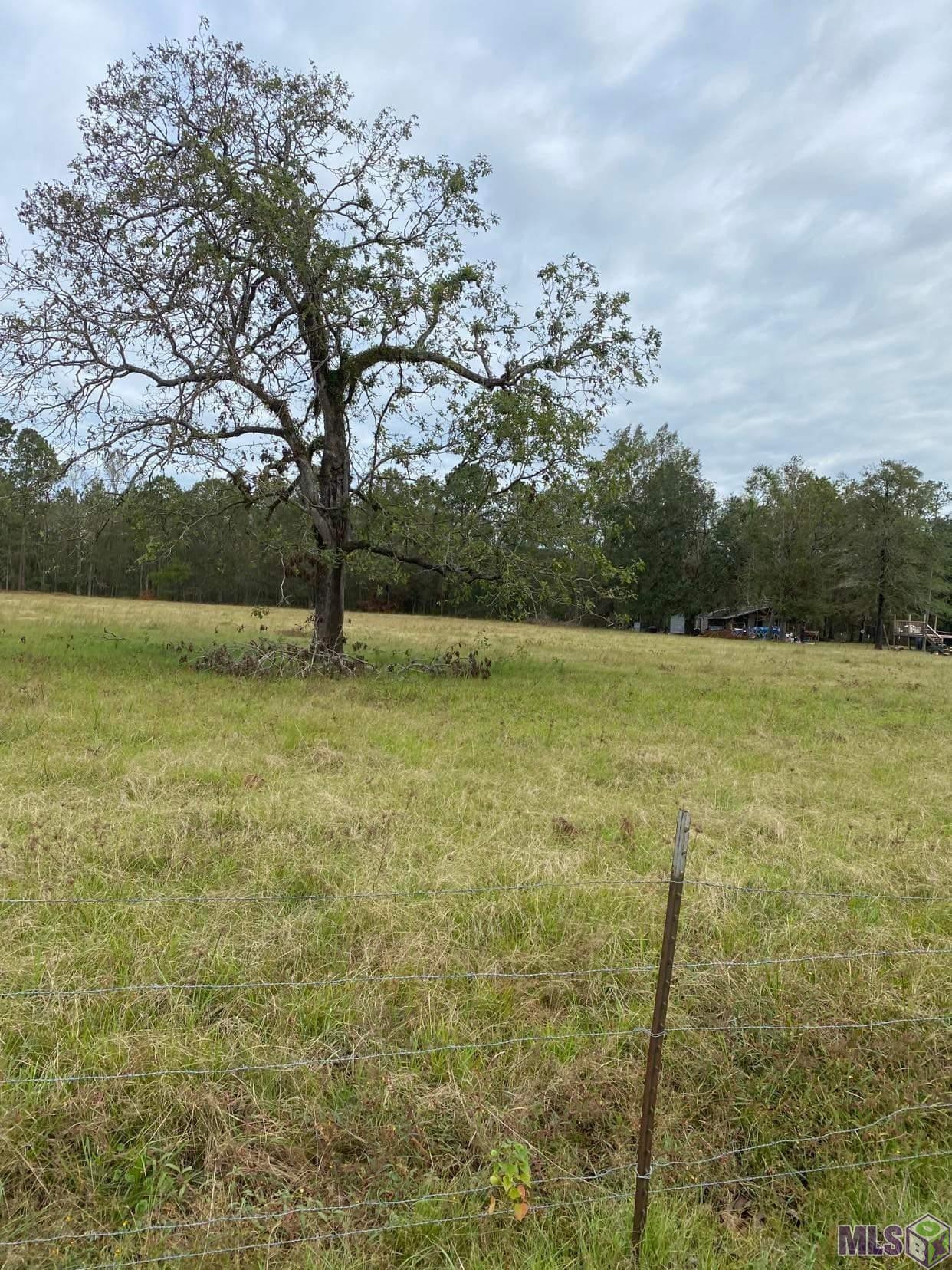 Tbd-2 Henry White Road Albany, LA 70711 - Photo 2 of 8 Gallery Image 2