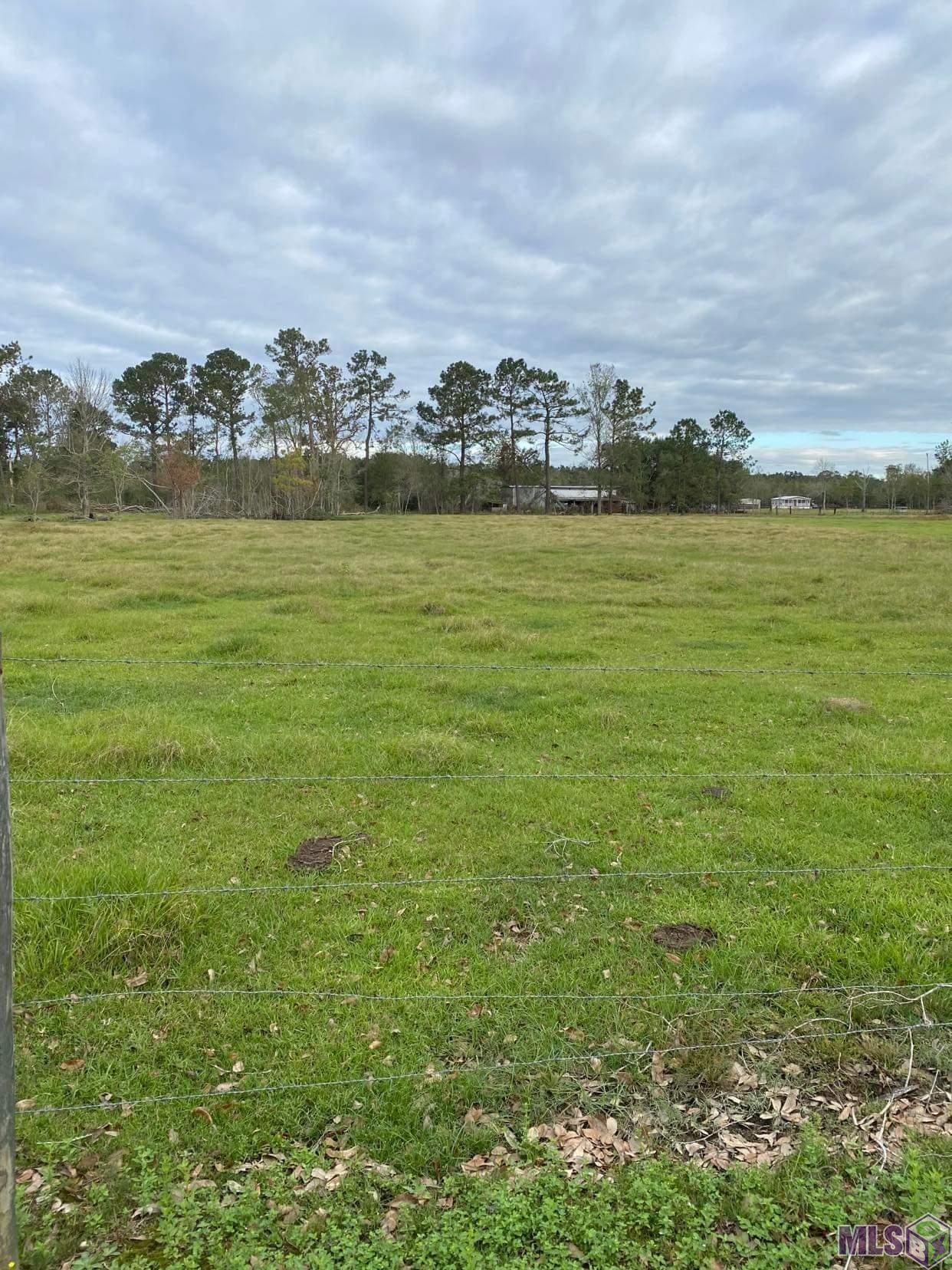 Tbd-2 Henry White Road Albany, LA 70711 - Photo 3 of 8 Gallery Image 3