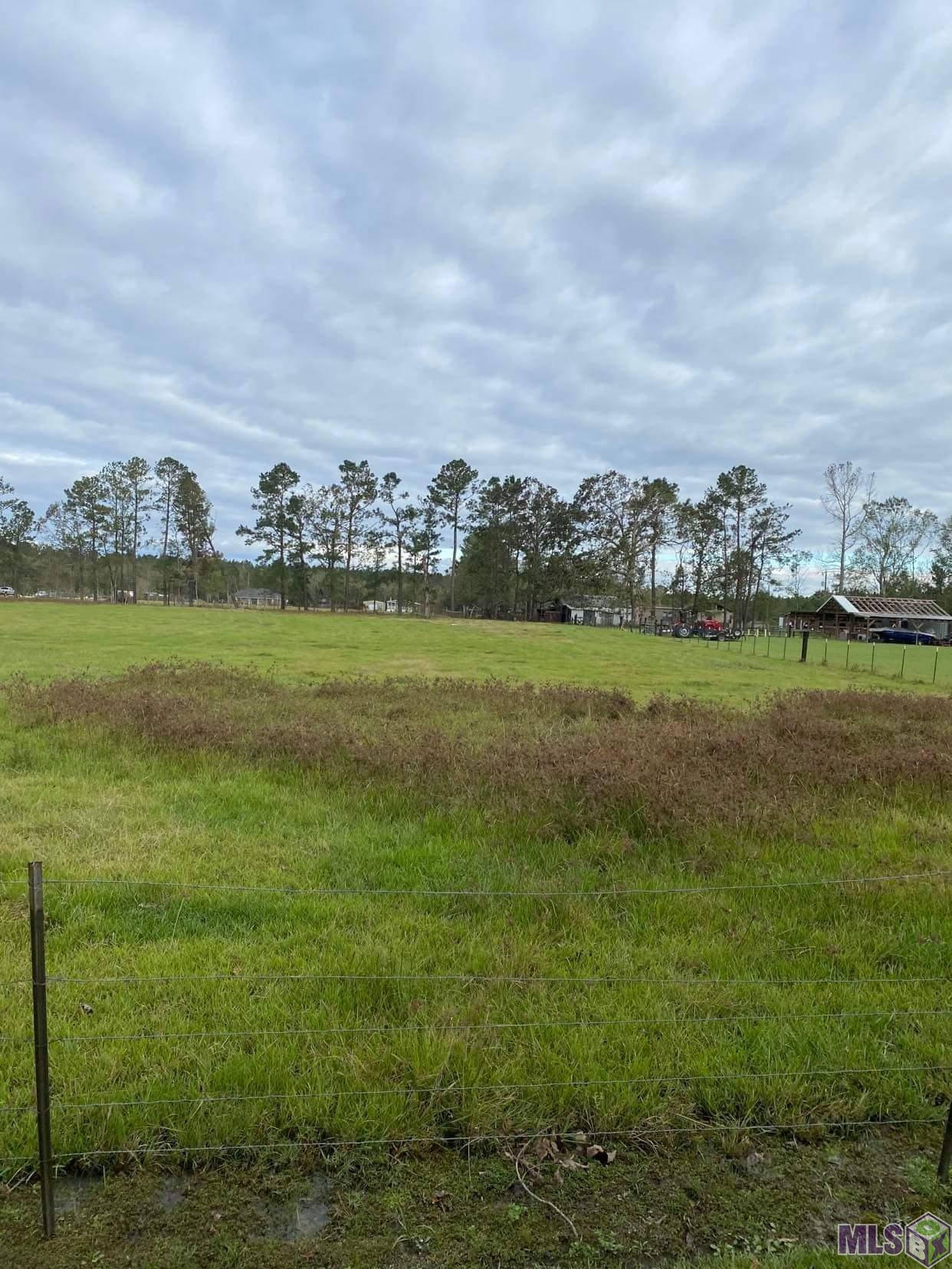 Tbd-2 Henry White Road Albany, LA 70711 - Photo 6 of 8 Gallery Image 6