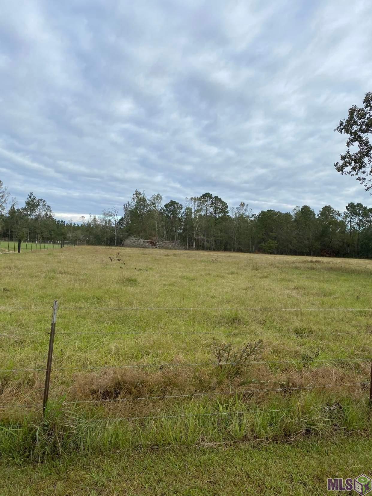 Tbd-2 Henry White Road Albany, LA 70711 - Photo 7 of 8 Gallery Image 7