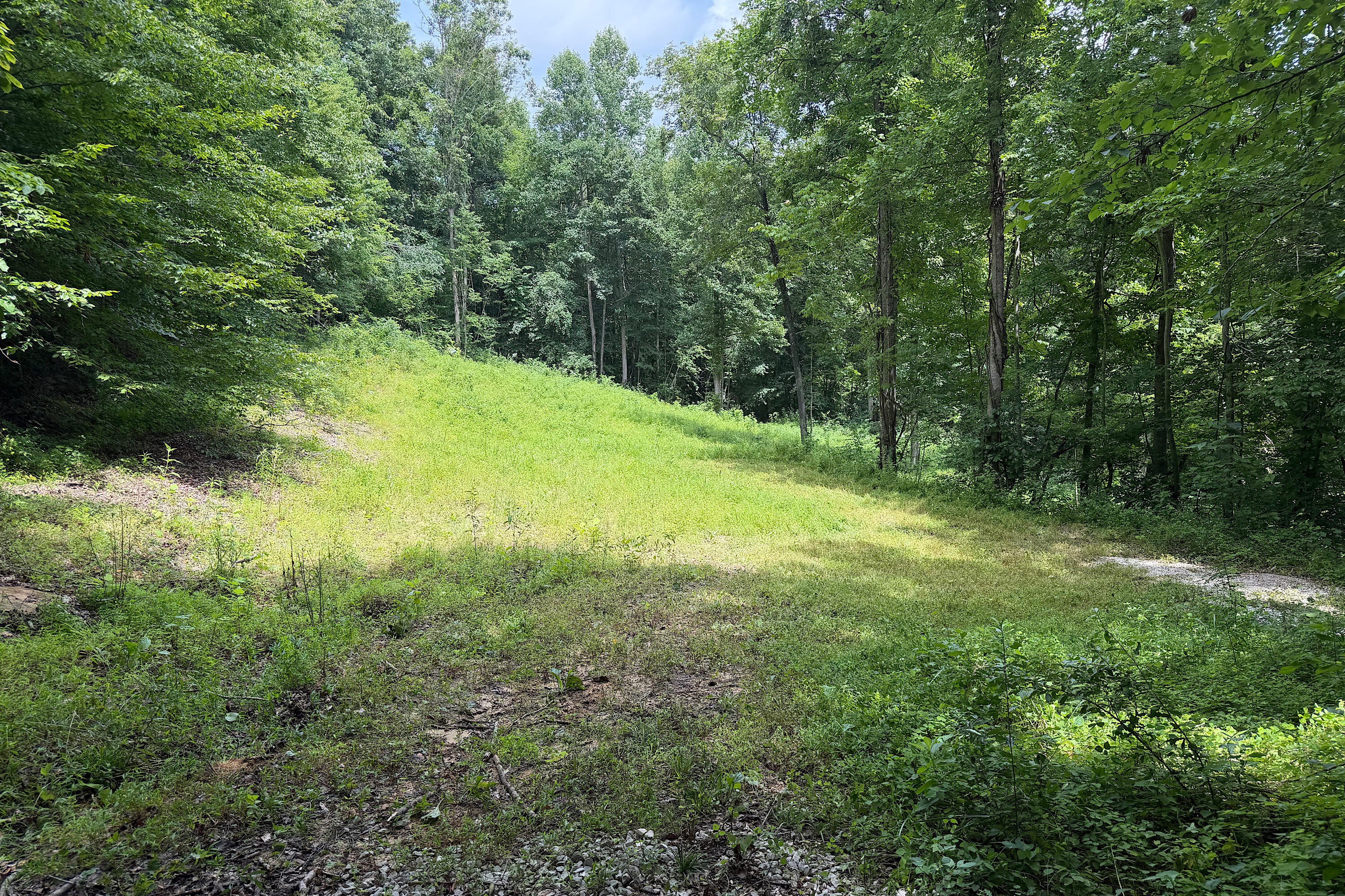 4813 Brammer Hill Ridge Road Monticello, KY 42633 - Photo 4 of 12 IMG_1631