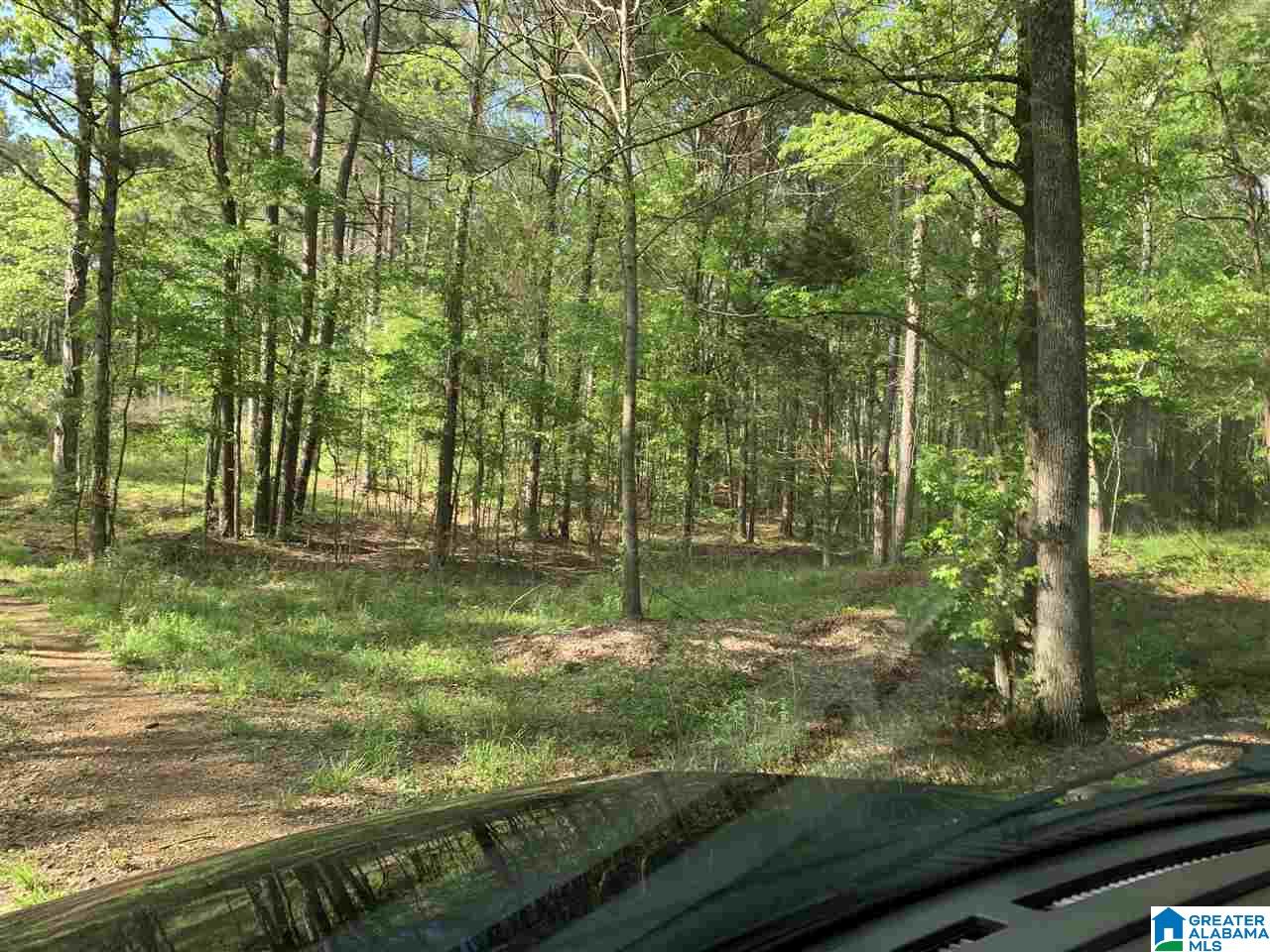 1585 Rex Lake Road, Unit 1585 Leeds, AL 35094 - Photo 12 of 16