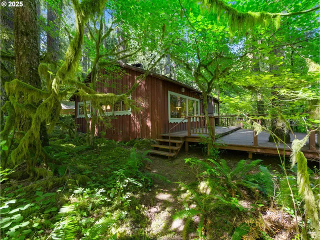 a view of a backyard with a garden