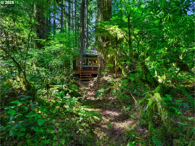 a view of outdoor space and deck