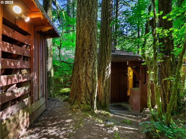 a view of a house with a tree in front of it